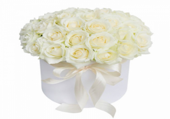 فروش ویژه گل چینی در تنوع رنگی و طرح های گوناگون